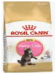 Royal Canin Maine Coon Kitten packaging